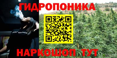 ПСИЛОЦИБИНОВЫЕ ГРИБЫ Сланцы