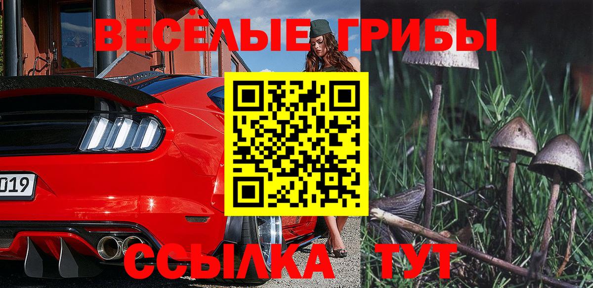 Галлюциногенные грибы Magic Shrooms Полысаево